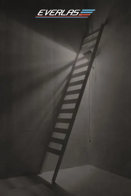 Everlas Ladders